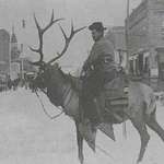 image for Just a cowboy riding an elk in 1910