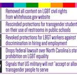 image for Trumps first 7 Months in Office and his Actions Towards LGBT People