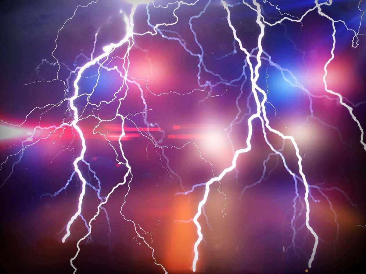 image for Dog leads family to unconscious girls after lightning strike in Beaver County