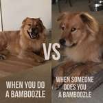 image for It's been a bamboozle kind of day.