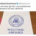 image for Anthony Scaramucci.