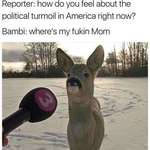 image for Bambi don't take shit