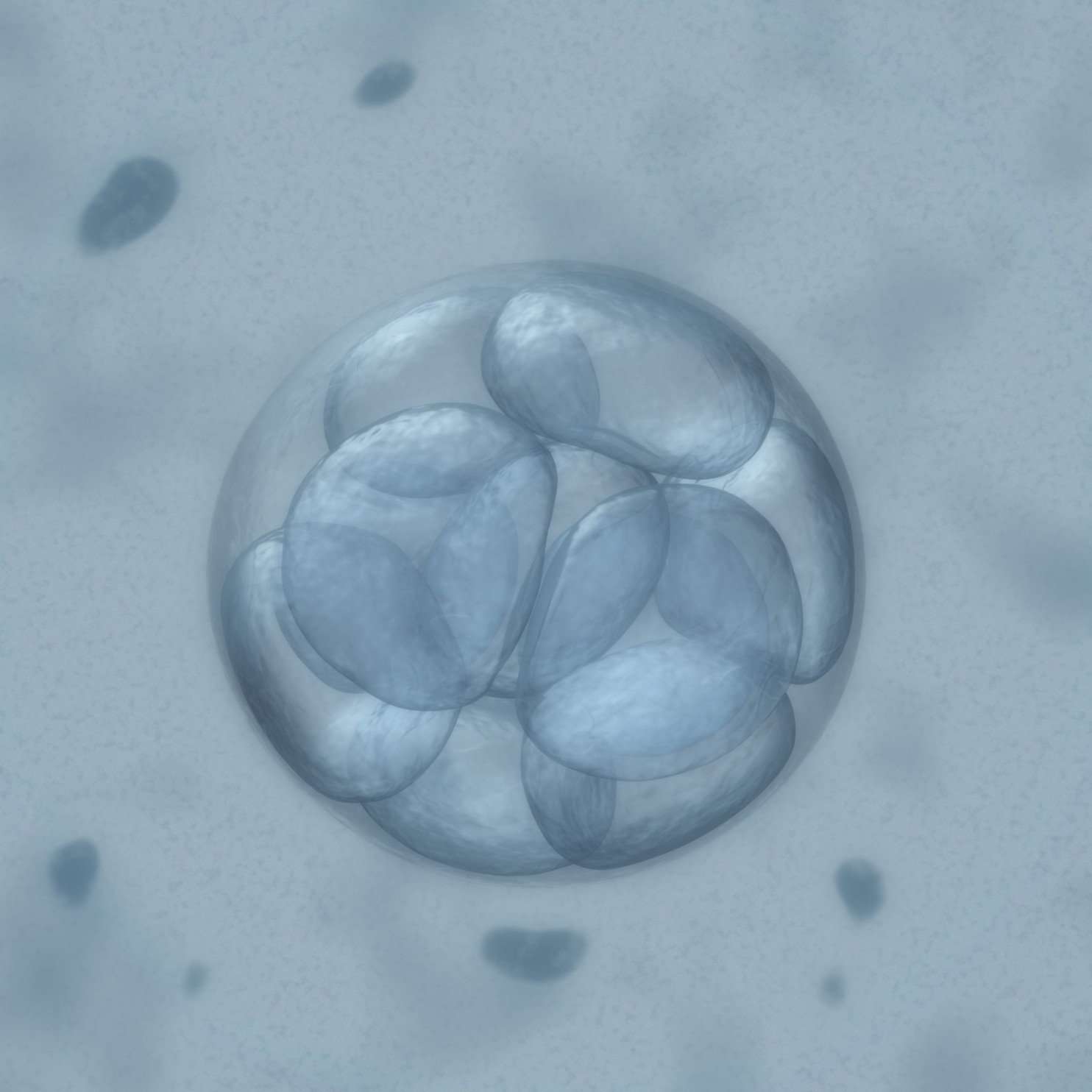 image for First human embryo editing experiment in U.S. ‘corrects’ gene for heart condition