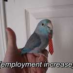image for Upvote in 30 seconds and the employment parrot will make all your career dreams come true.