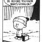 image for Calvin asks an essential question