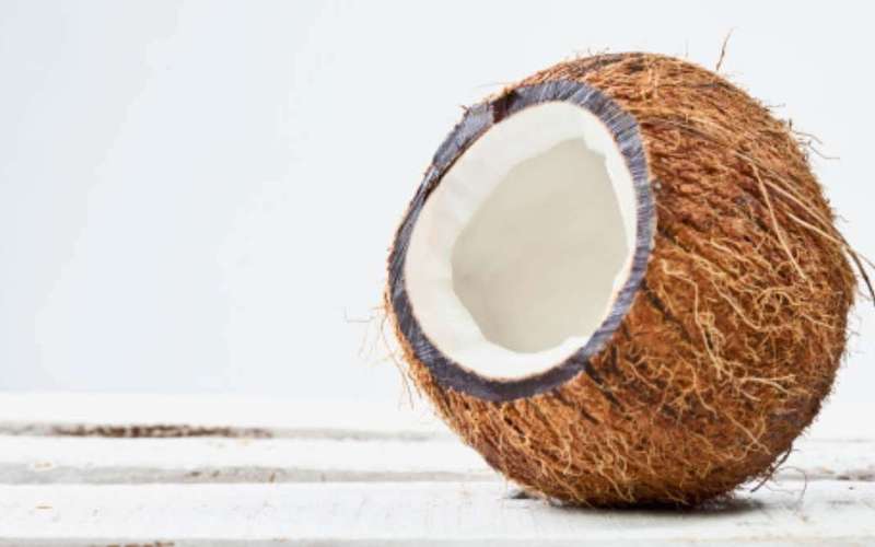 image for Meanwhile, on Reddit, dudes can’t stop talking about fucking coconuts
