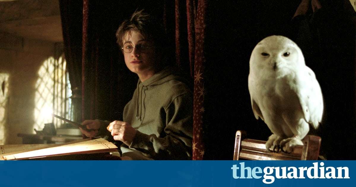 image for Asia’s Harry Potter obsession poses threat to owls