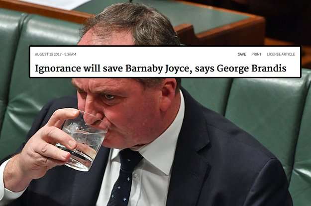 image for Barnaby Joyce Literally Said "Ignorance Is Not An Excuse" To Dual Citizens Who Resigned