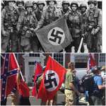 image for The only reason for an American to hold a nazi flag is if it was captured in battle.