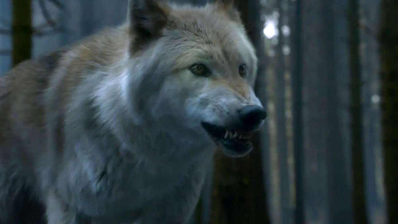 image for Peter Dinklage Asks 'Game of Thrones' Fans to Stop Buying Huskies Because They Resemble Direwolves