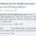 image for Ken M on Cats with Belly Problems