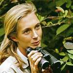image for Dr. Jane Goodall, 1960