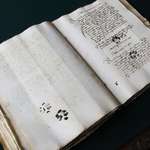 image for 15th century cat leaves paw prints on owner's manuscript