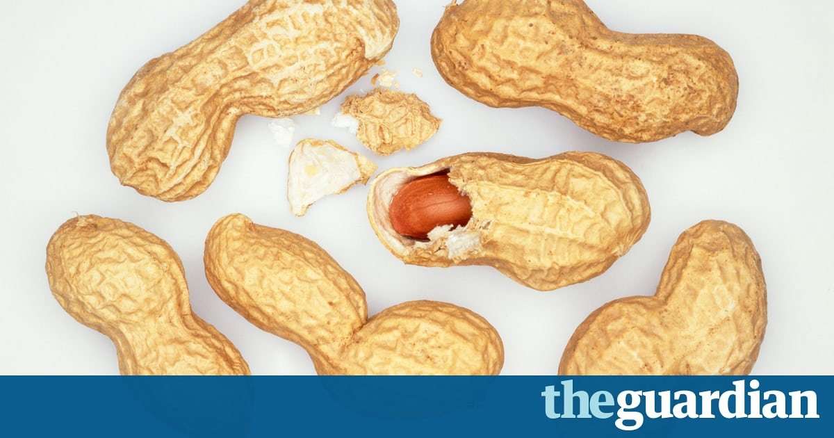 image for Peanut allergy cured in majority of children in immunotherapy trial
