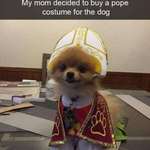 image for When your dog finds religion.