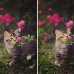 image for When she sniffs flower.