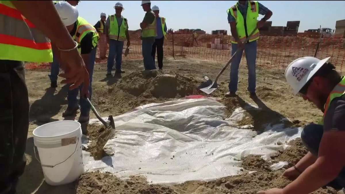 image for Construction crew finds rare triceratops fossil in Thornton