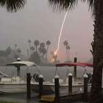 image for My mom accidentally caught lightning when trying to take a picture of palm trees during a storm.