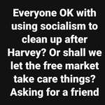 image for Socialist Harvey
