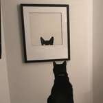 image for Our cat is very confused with our new picture.