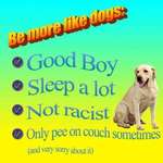 image for Be more like dogs