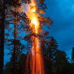 image for I went for a walk in the forest and came upon this ponderosa pine tree that had been struck by lightning. I called the Forest Service and they eventually extinguished it, but not before I had time to get some photos. Near Flagstaff, Arizona, USA. [OC] [2834x2000]