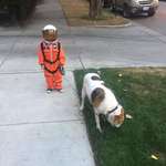 image for PsBattle: this kid walking his dog in full astronaut gear