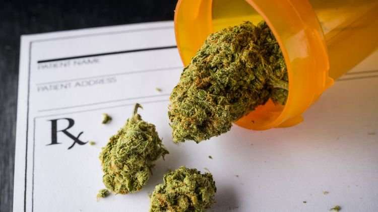 image for Study finds legal cannabis may reduce use of dangerous prescription drugs