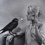 image for Tippi Hedren and one of her co-stars on the set of The Birds (1963)