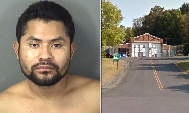 image for Illegal immigrant 'sexually assaults six-year-old girl'