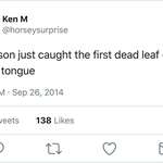 image for Ken M on the first day of Fall