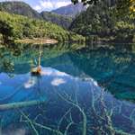 image for One of the lakes of Jiuzhaigou - China before the devastating earthquake last August [OC] [2317x3089]