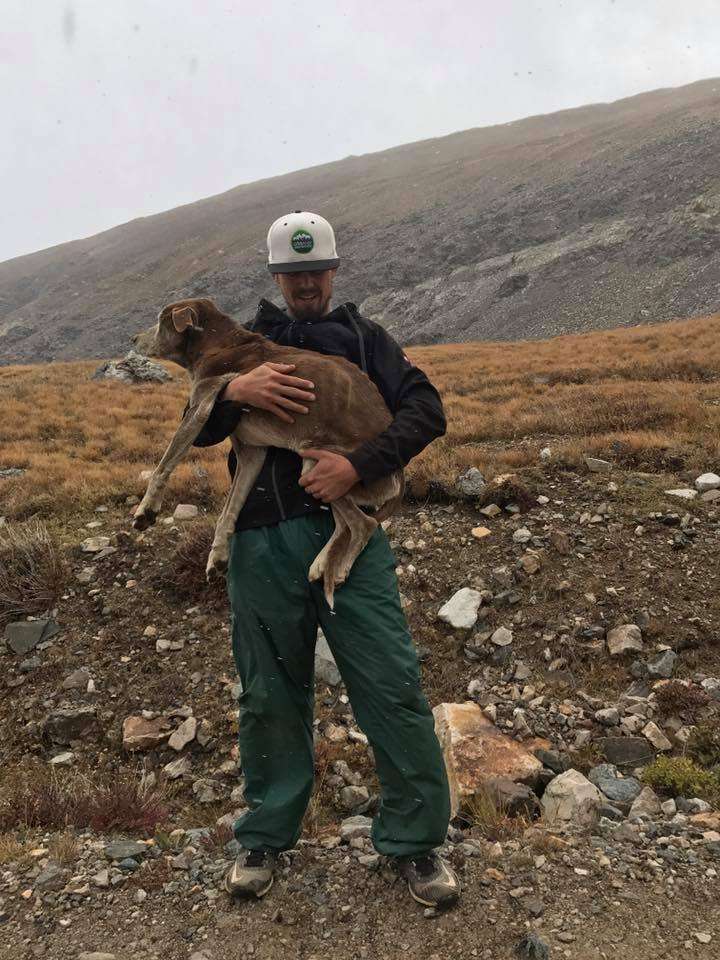image for HIKERS RESCUE DOG STUCK ON 14ER FOR 6 WEEKS