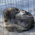 image for Mama snowdoggo gives her pupper a big lovehuggo