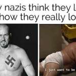 image for It's always sunny in the third reich
