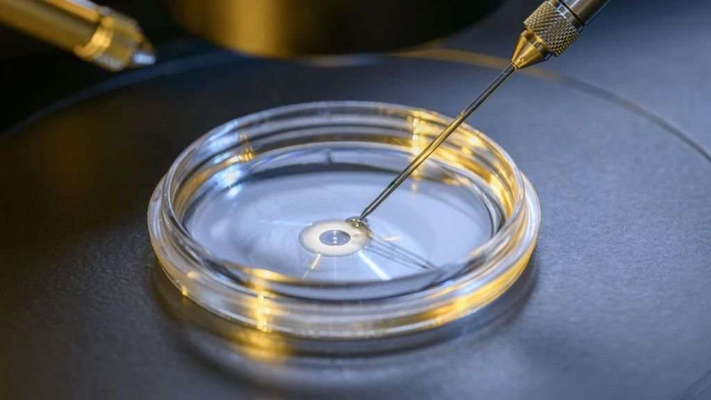 image for DNA surgery on embryos removes disease