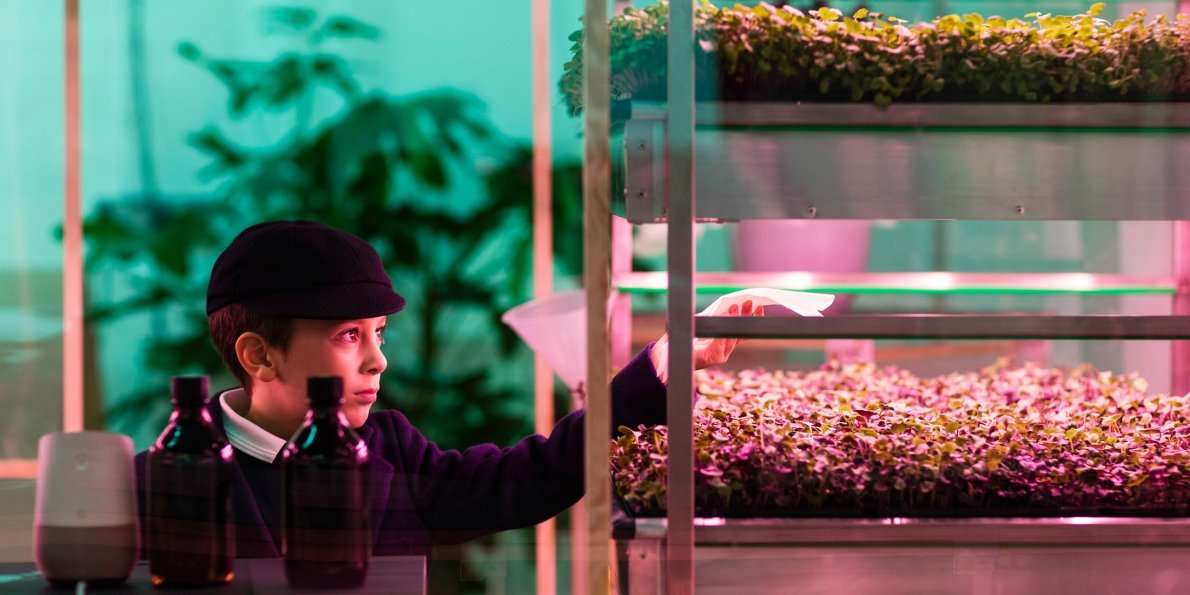 image for Ikea has debuted an indoor farm that grows greens 3 times as fast as in a garden