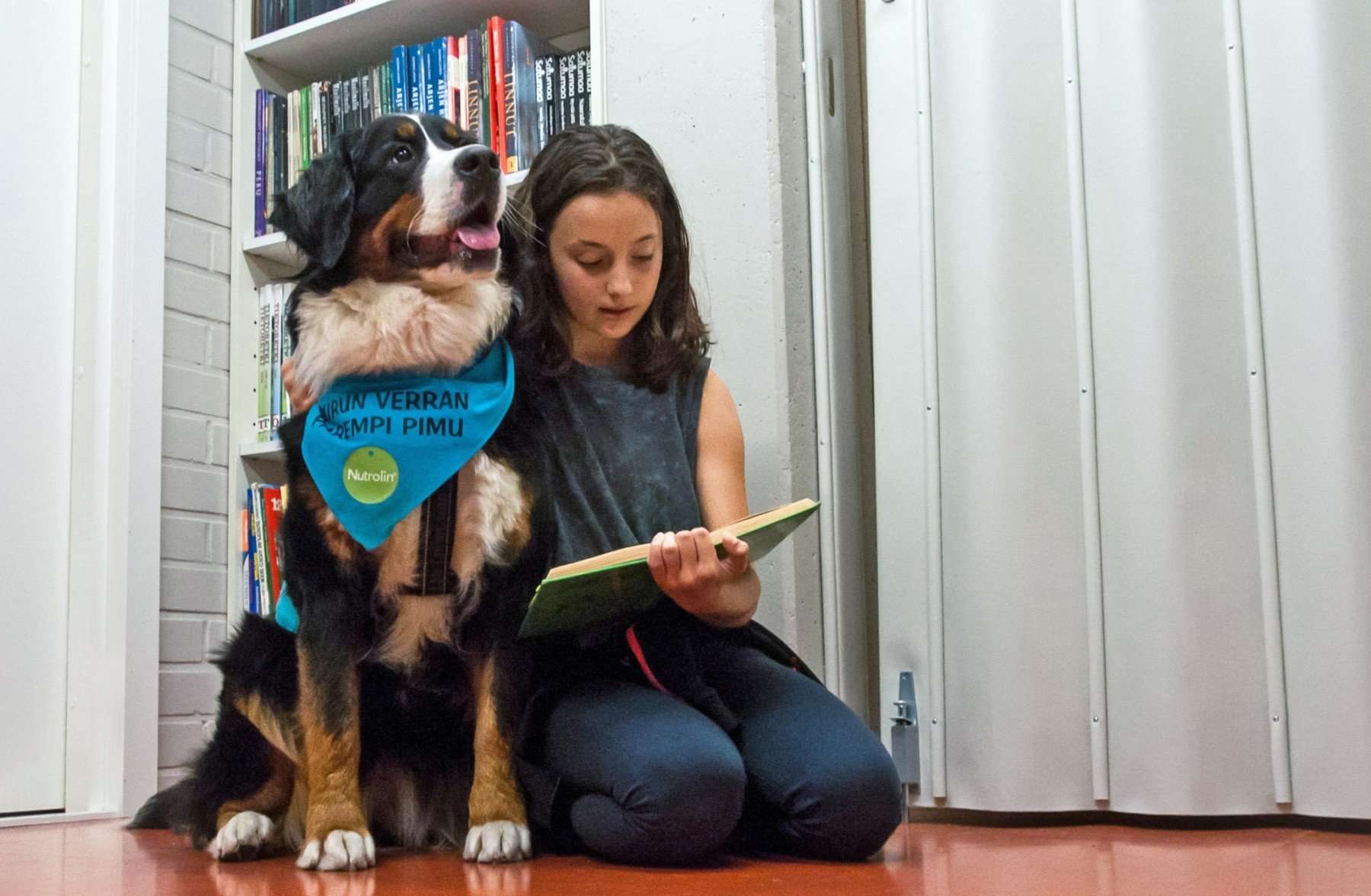 image for Finnish reading dogs help kids learn and grow