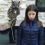 image for PsBattle: Anna Kendrick and an owl
