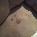 image for My 2-year-old brother wiped his face on the couch after crying.