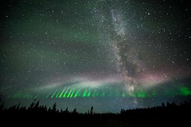 image for New type of northern lights discovered, named Steve