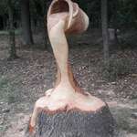 image for Pouring wood