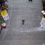 image for The day that a little dog in Mexico walked in the middle of a parade for the Pope thinking it was for him.