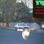 image for The police Facebook page posted a picture taken by a speeding camera. The bird saves the day
