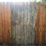 image for Wife suggested I power wash the fence. For some reason I was not prepared for the difference.