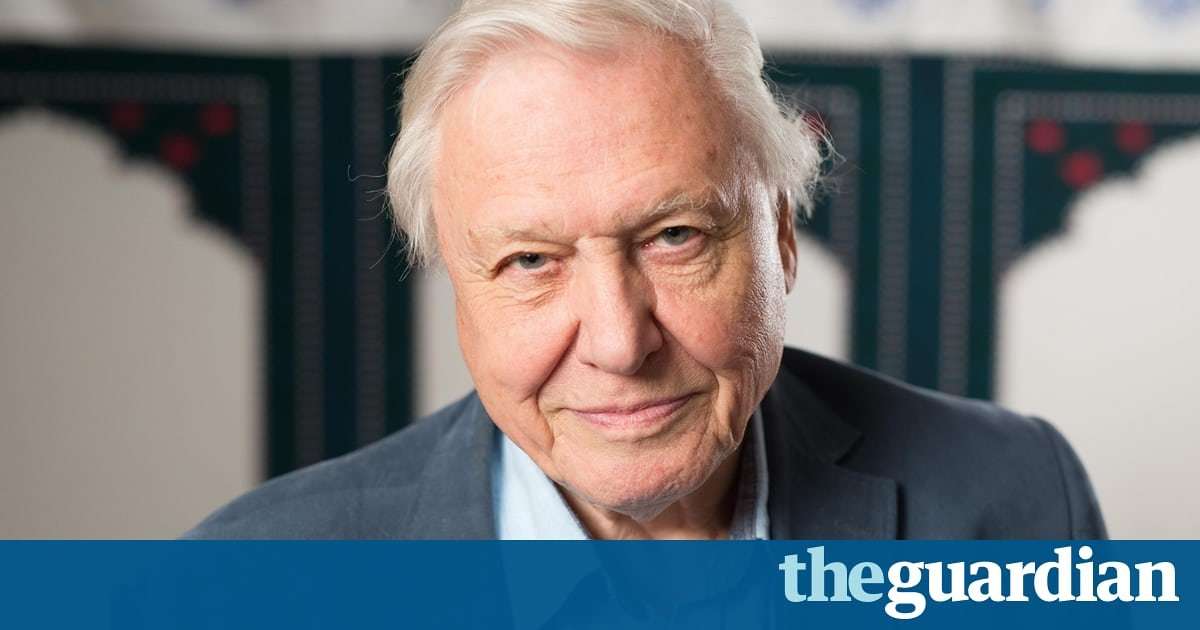 image for David Attenborough urges action on plastics after filming Blue Planet II