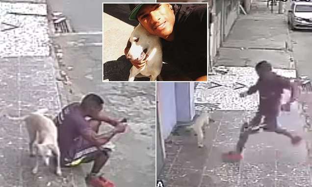image for Brazilian man adopts the puppy that peed on him on tape
