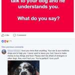 image for Message to Dog: the most wholesome thing I've ever fucking read.