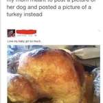 image for Mom meant to post a picture of her dog but posts a picture of a turkey instead