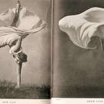 image for Our Lily, Arum Lily, Stefan Lorant, Photography, 1937